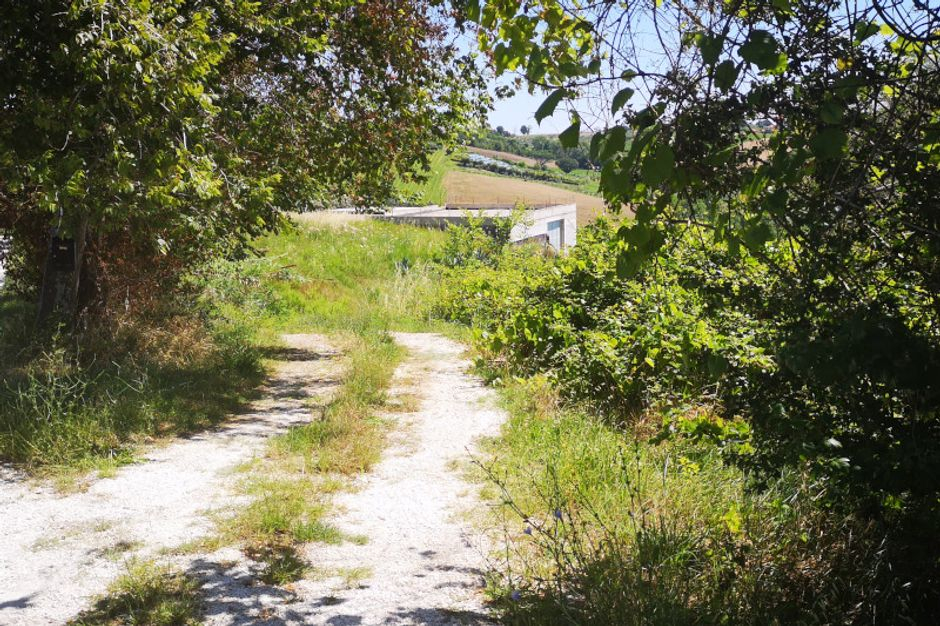 #8861 Fabbricato rurale con terreno a vigneto in vendita - foto 2