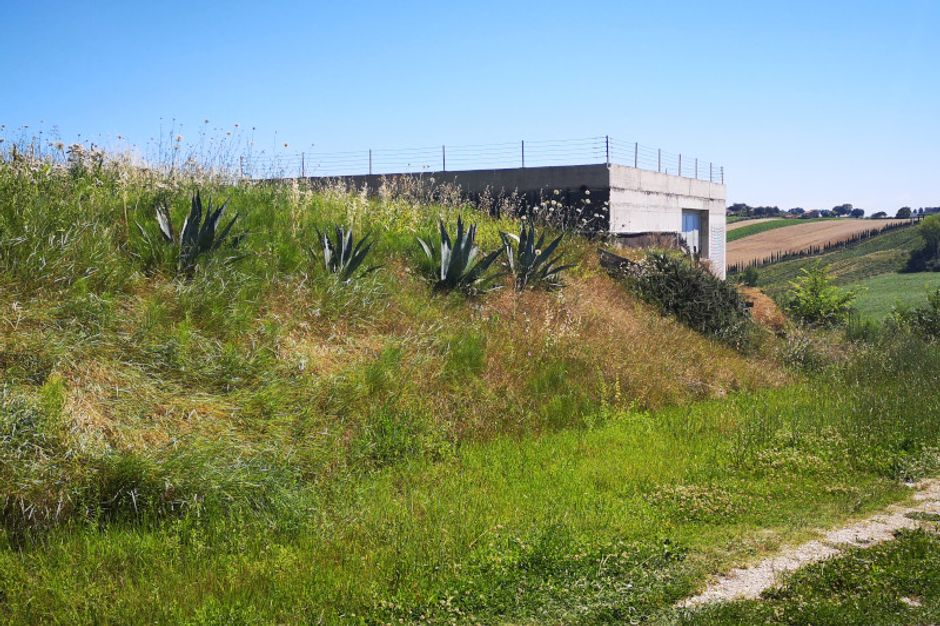 #8861 Fabbricato rurale con terreno a vigneto in vendita - foto 3