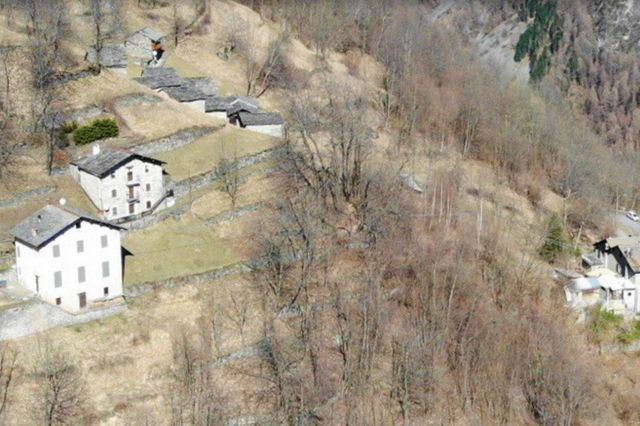 Agricoli in vendita