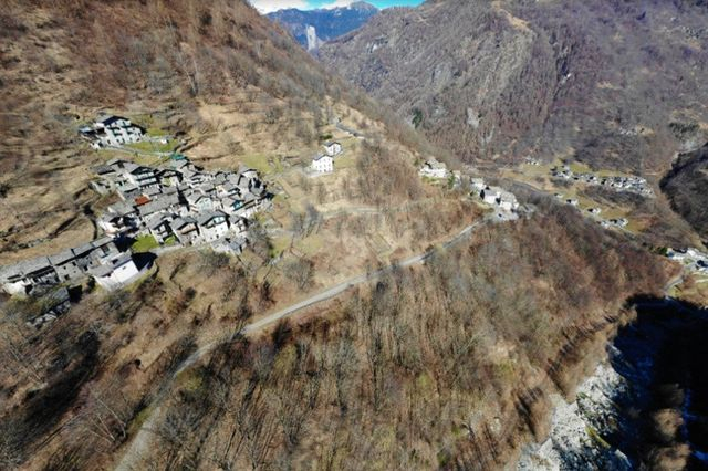 Agricoli in vendita