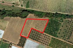 Farmland - Lote 9136 (Subasta 9136)