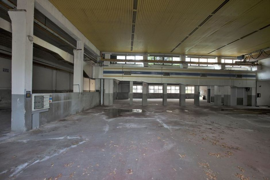 #921 Capannone con tetto giardino e piscina in vendita - foto 7
