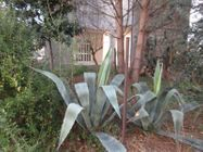 Immagine n6 - Three apartments and three advanced unfinished garages (part 697) - Asta 9265