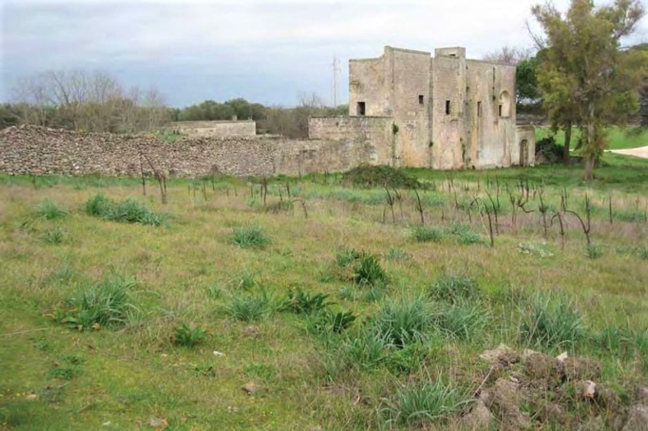 #9835 Complesso agricolo con fabbricati in vendita - foto 1