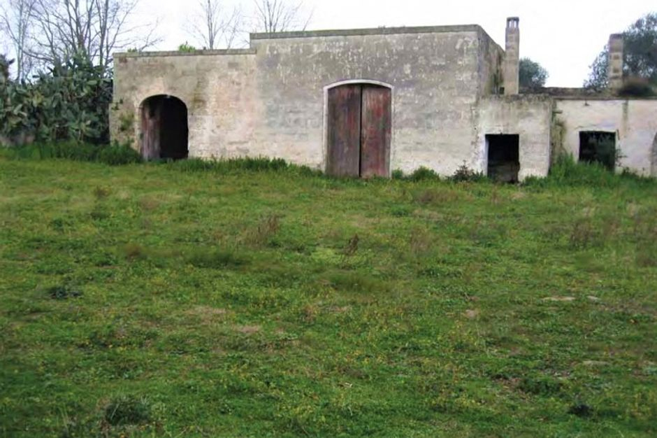 #9835 Complesso agricolo con fabbricati in vendita - foto 2