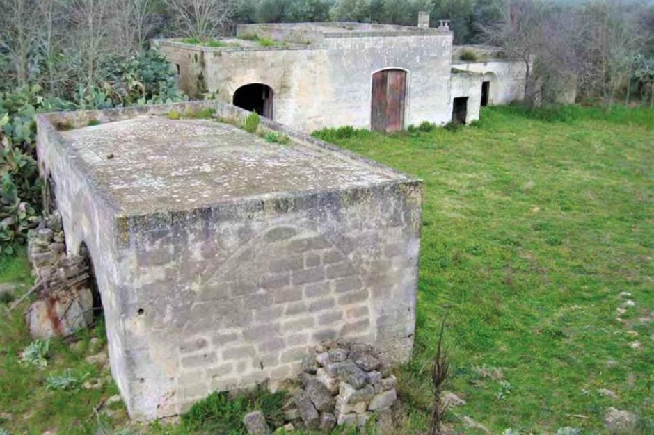 #9835 Complesso agricolo con fabbricati in vendita - foto 3