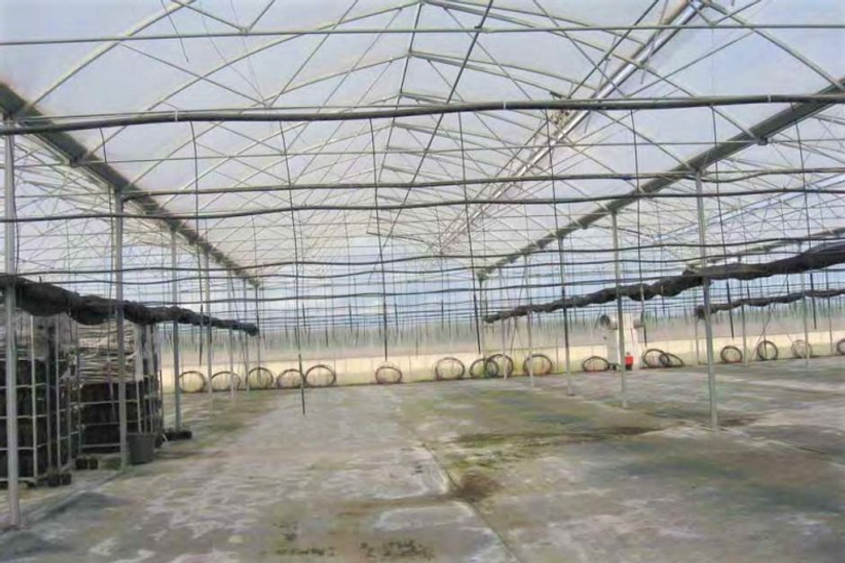 #9835 Complesso agricolo con fabbricati in vendita - foto 6