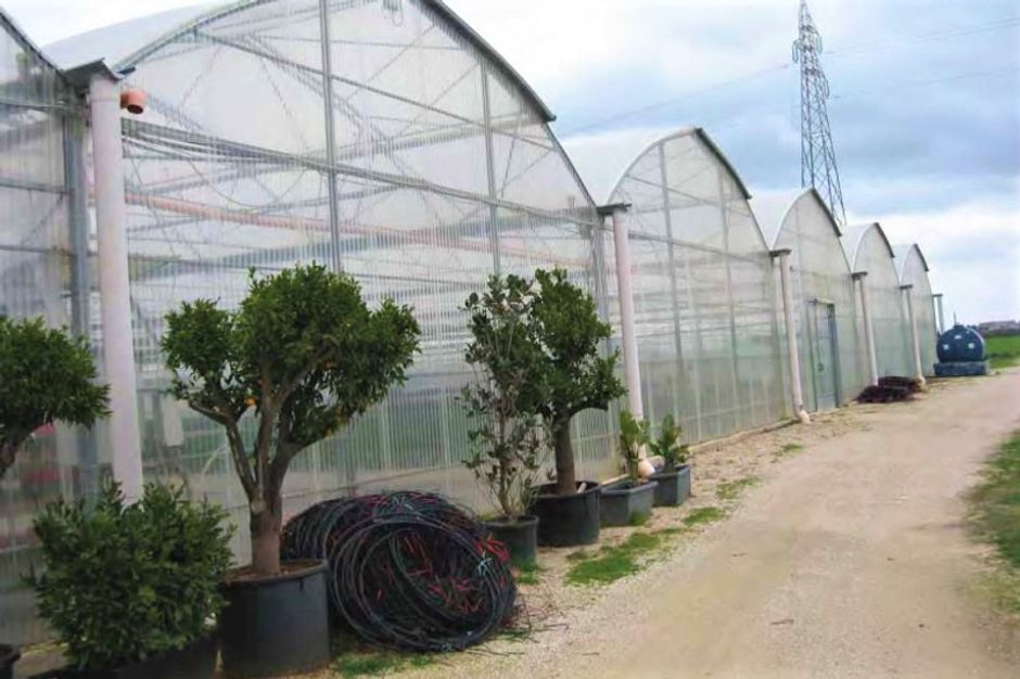 #9835 Complesso agricolo con fabbricati in vendita - foto 7