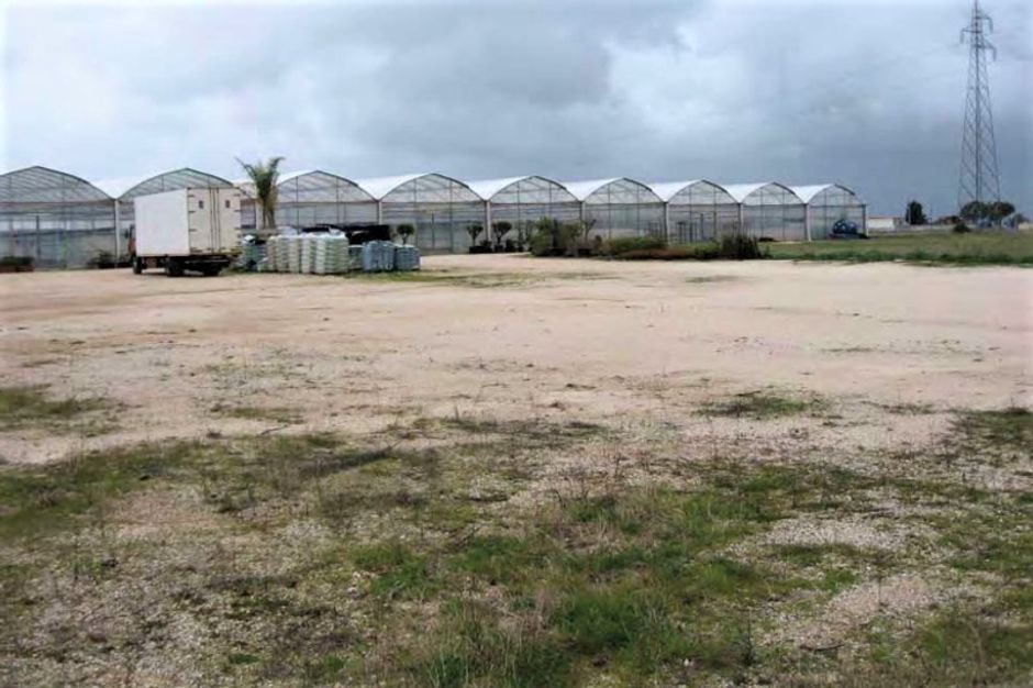 #9835 Complesso agricolo con fabbricati in vendita - foto 8