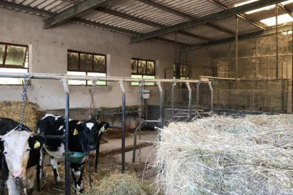 #9841 Magazzino uso agricolo in vendita - foto 4