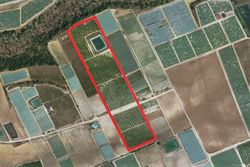 Agricultural land cultivated - Lot 9879 (Auction 9879)