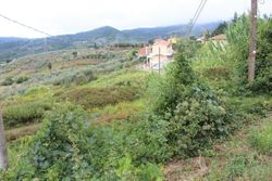 Building land for future subdivision - Lot 9954 (Auction 9954)